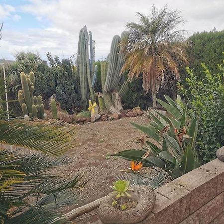 Los Cactus Santa Cruz de Tenerife Bagian luar foto