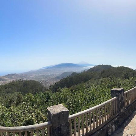 Los Cactus Santa Cruz de Tenerife Bagian luar foto
