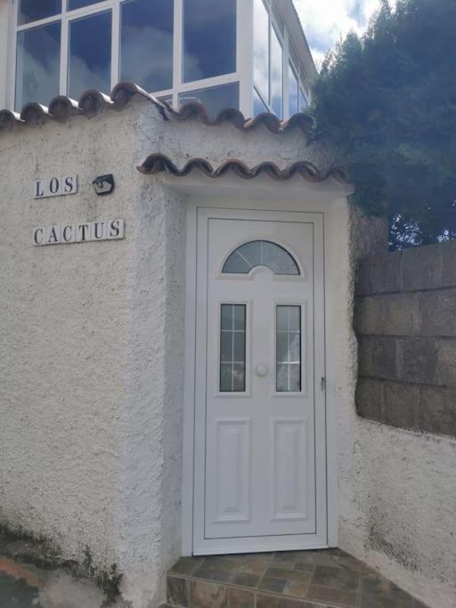 Los Cactus Santa Cruz de Tenerife Bagian luar foto