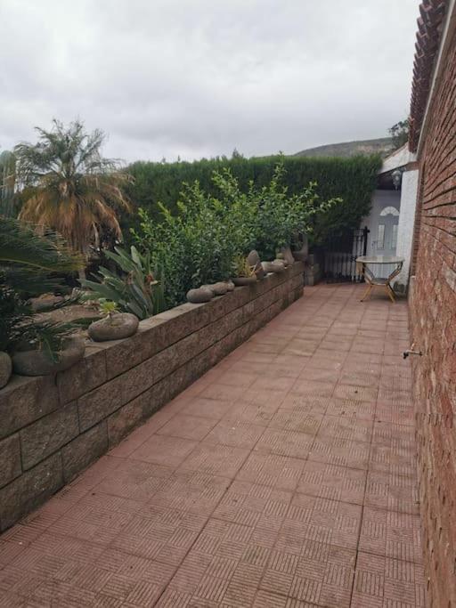 Los Cactus Santa Cruz de Tenerife Bagian luar foto